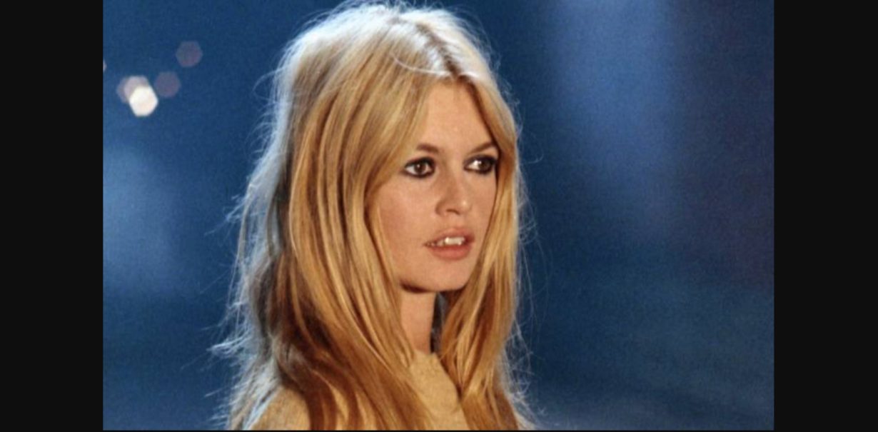 Brigitte Bardot : Sa Petite Fille Lui Ressemble Tellement